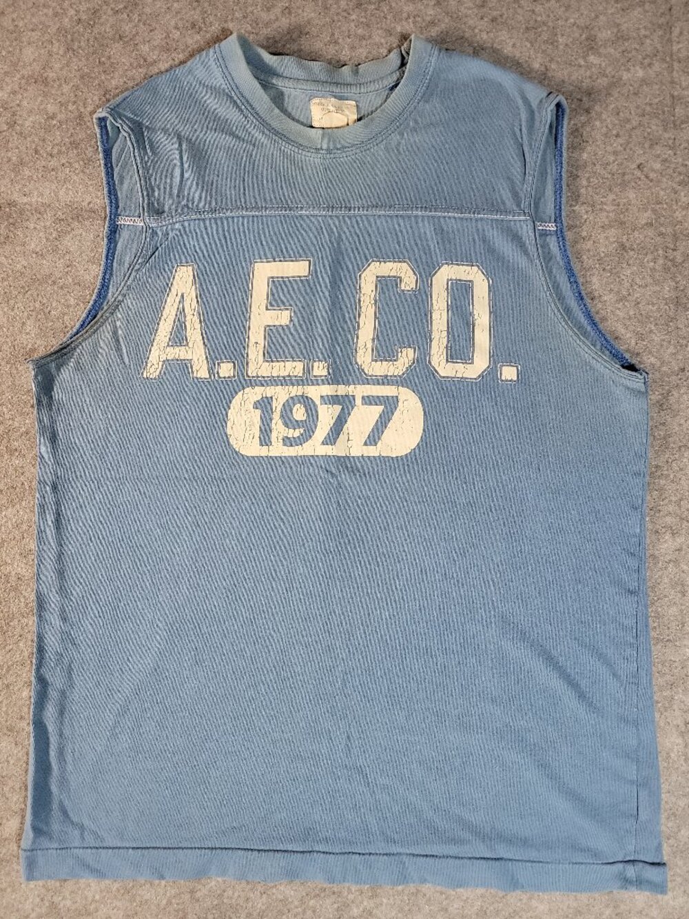 Vintage Y2K American Eagle Distressed Graphic Sleeveless Muscle Tee Blue Men's S